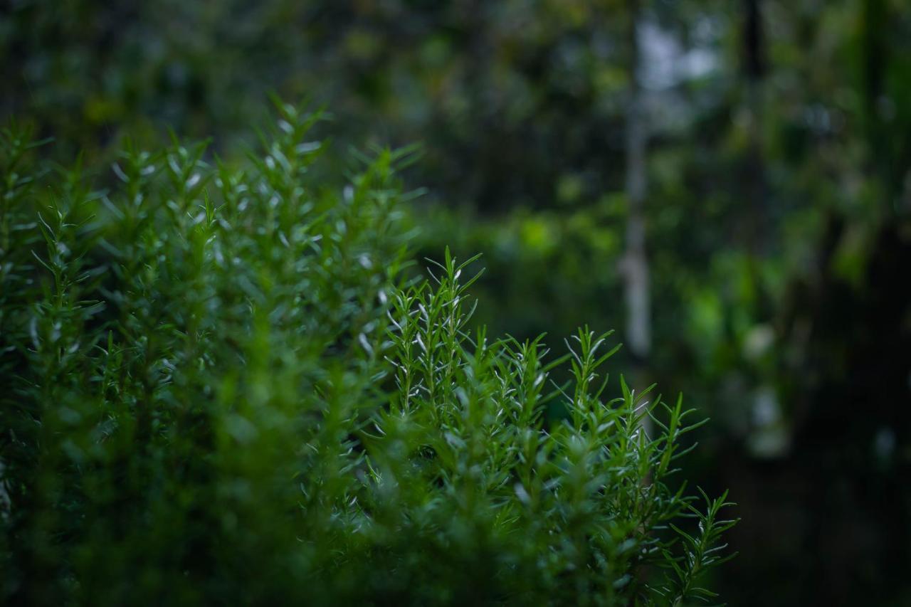 Nap Da Lat Daire Dış mekan fotoğraf