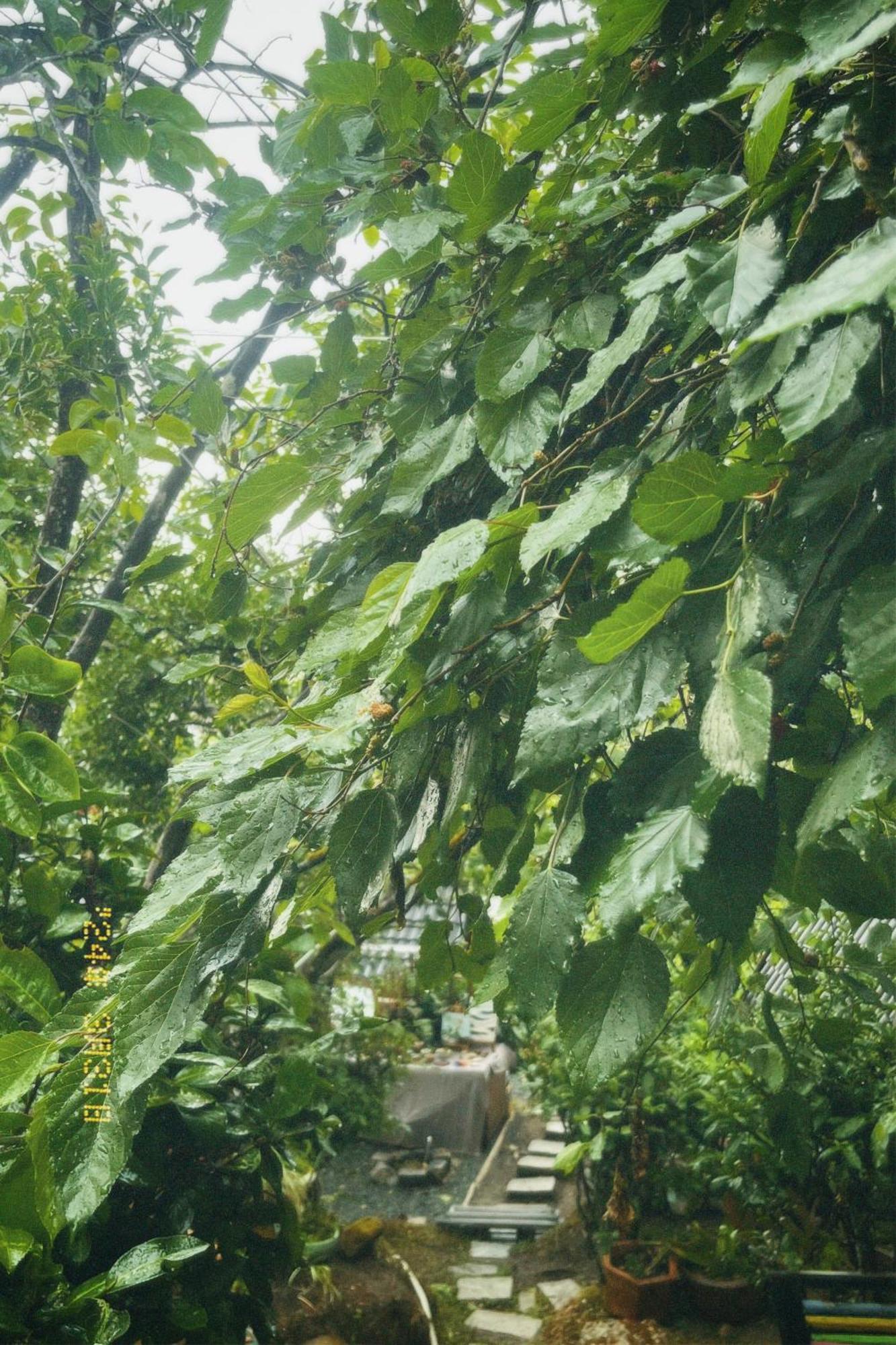 Nap Da Lat Daire Dış mekan fotoğraf