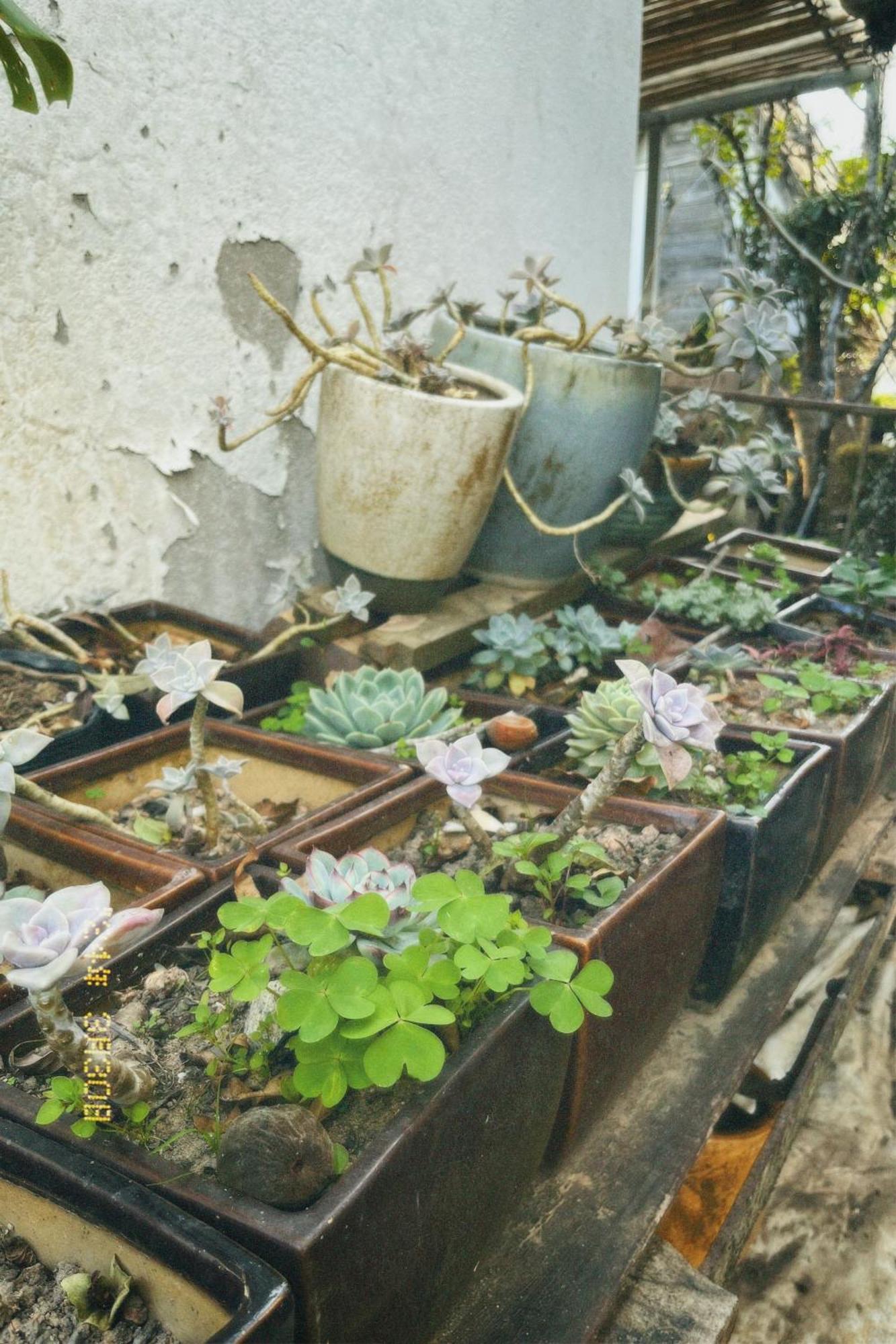 Nap Da Lat Daire Dış mekan fotoğraf