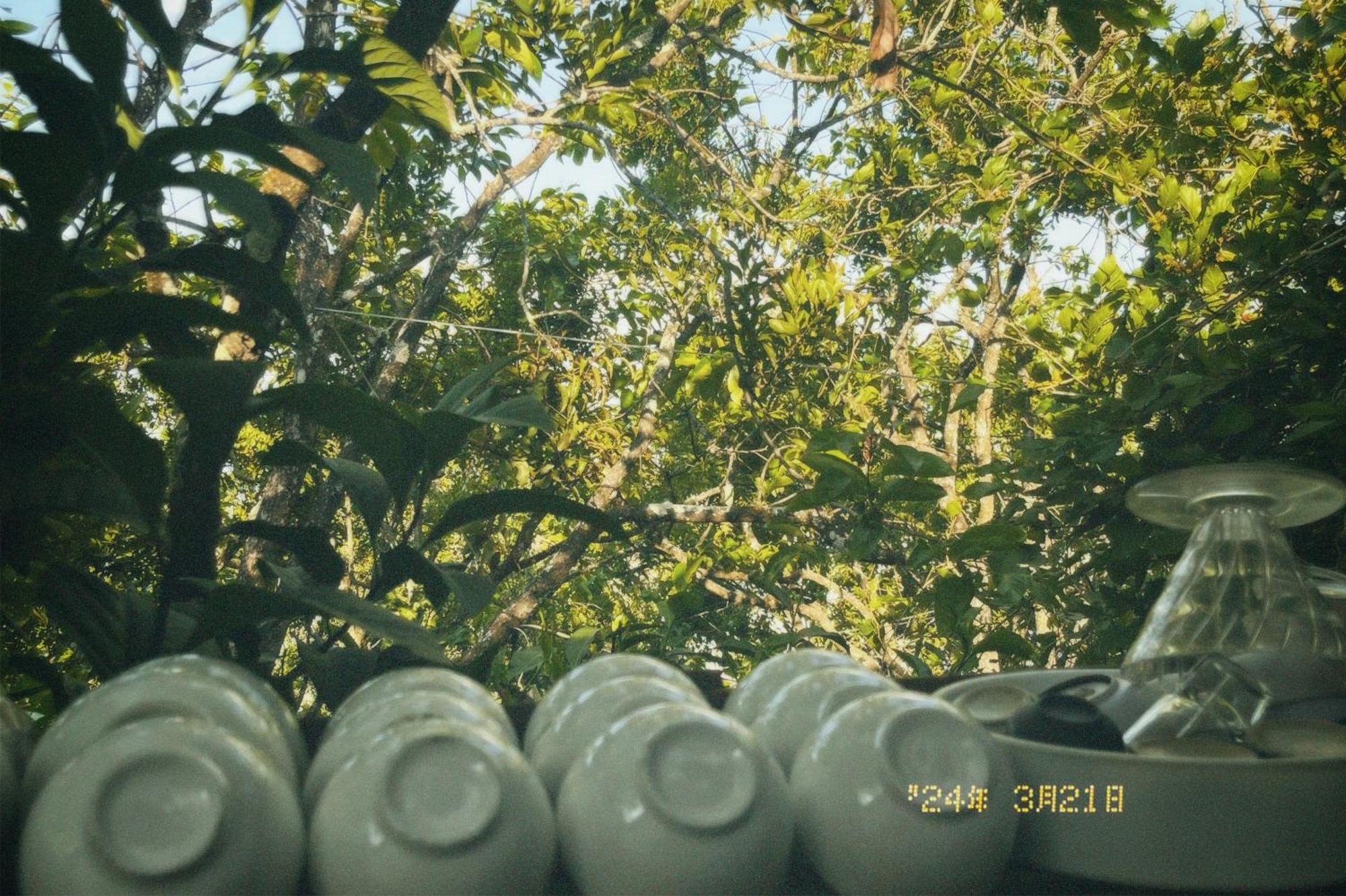 Nap Da Lat Daire Dış mekan fotoğraf