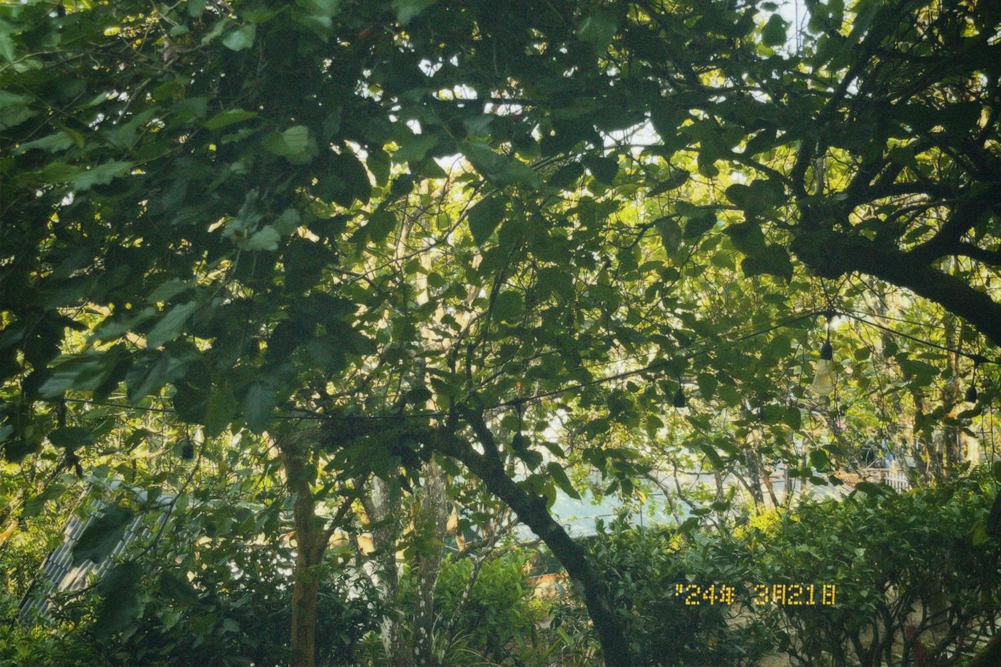 Nap Da Lat Daire Dış mekan fotoğraf