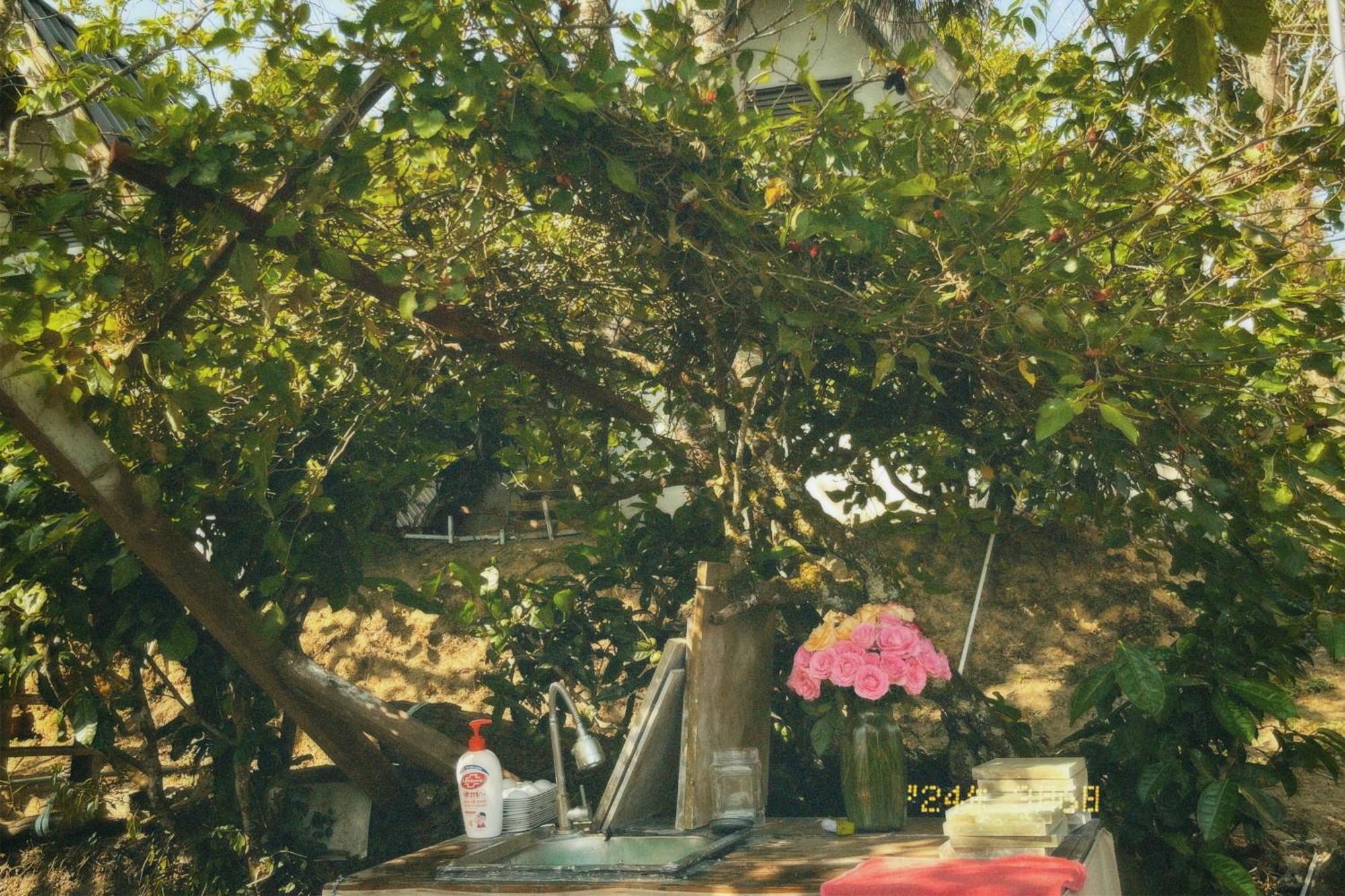 Nap Da Lat Daire Dış mekan fotoğraf